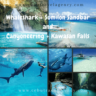 Oslob whaleshark with kawasan canyoneering and kawasan falls + sumilon sandbar Oslob whaleshark with kawasan canyoneering and kawasan falls + sumilon sandbar