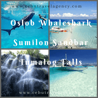 Oslob Whaleshark with Tumalog Falls and Sumilon Sandbar Oslob Whaleshark with Tumalog Falls and Sumilon Sandbar
